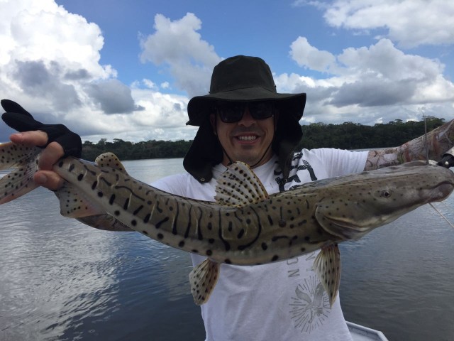 Pescaria no Rio Juruena Parte 01