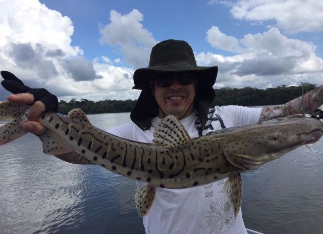 Pescaria no Rio Juruena Parte 01